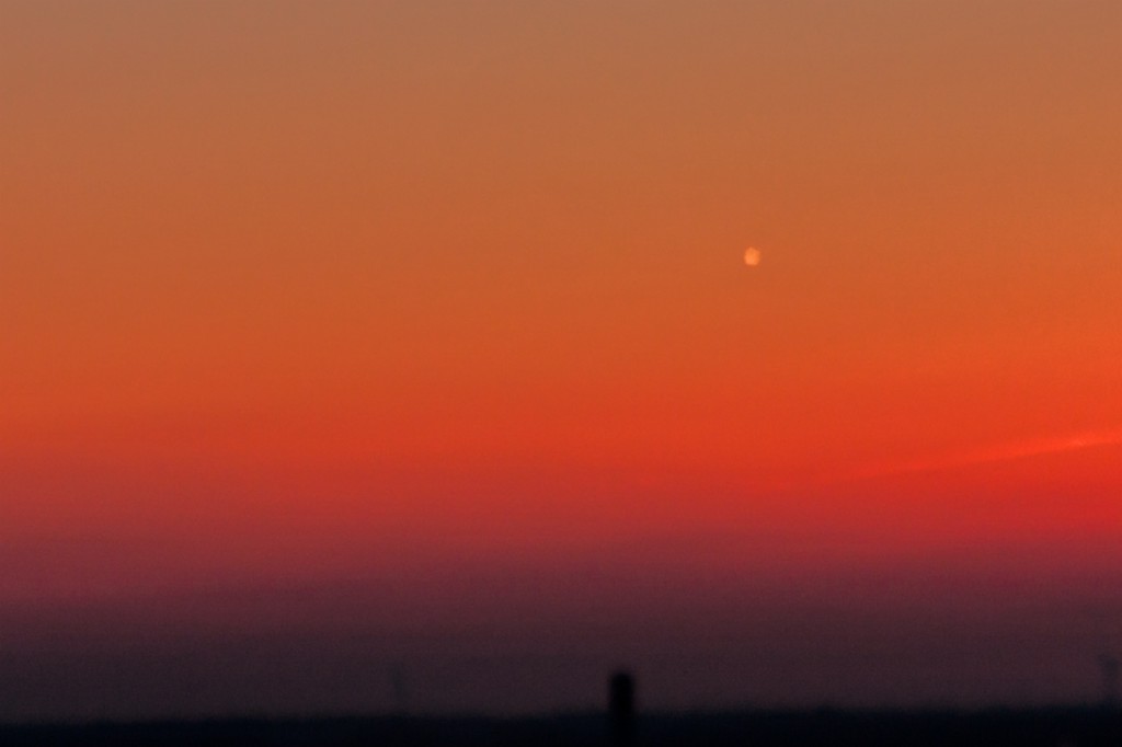 Panstarrs IMG 8909 1024x682 C/2011 L4 PANSTARRS am Hamburger Abendhimmel